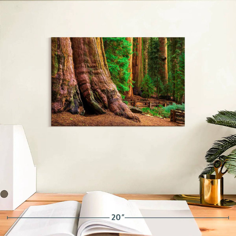 Harnek Sturdy Sequoia Tree