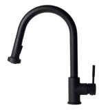 Monet Single Handle Kitchen Faucet with Side Spray and Accessories