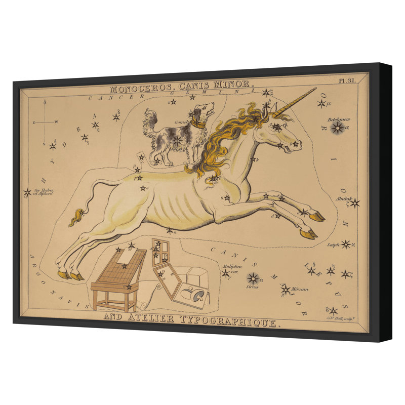 Monoceros Print by Grand Archives, 32" H x 45" W, Black Framed