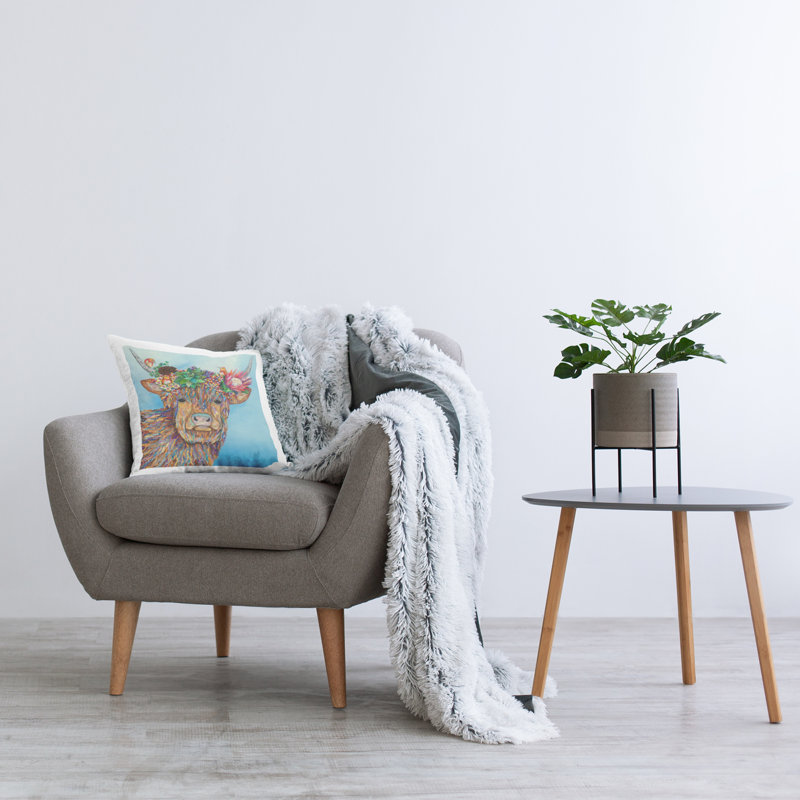 Throw Pillow