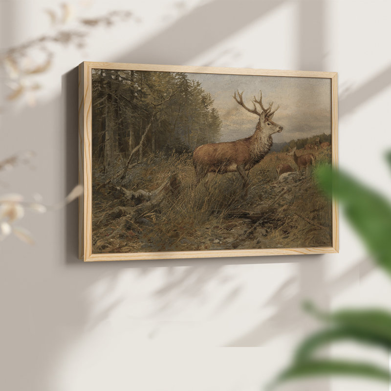 Faune rétro-XXV III - reproduction encadrée - réaménageable, H 8 po x l 10 po, Naturel