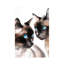 Cat Mate by Soo Beng Lim - Wrapped Canvas Painting-139011639