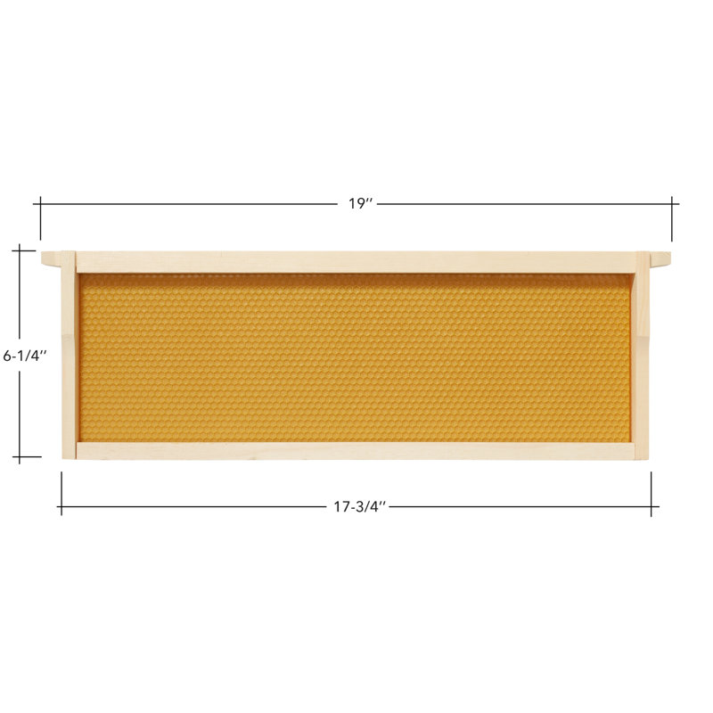 Beekeeping Beehive Accessory, Natural