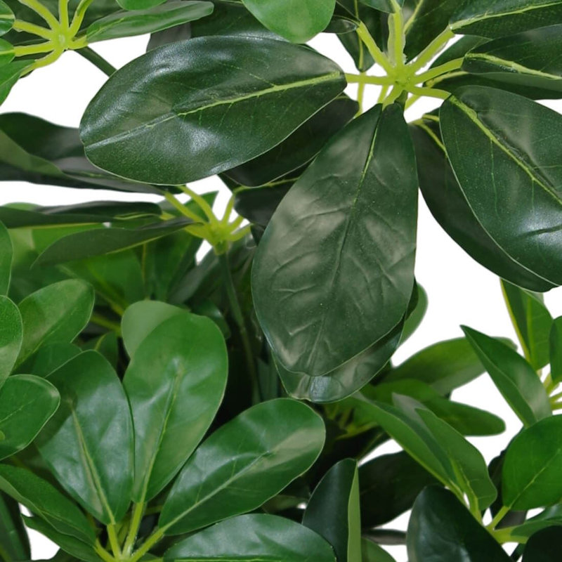55cm Faux Plant in Pot Liner, 55 cm x 30 cm, Dark Green