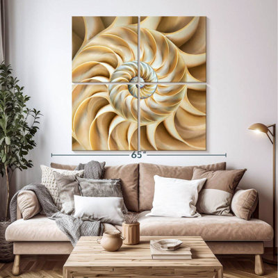 Aletra Nautilus Symmetry