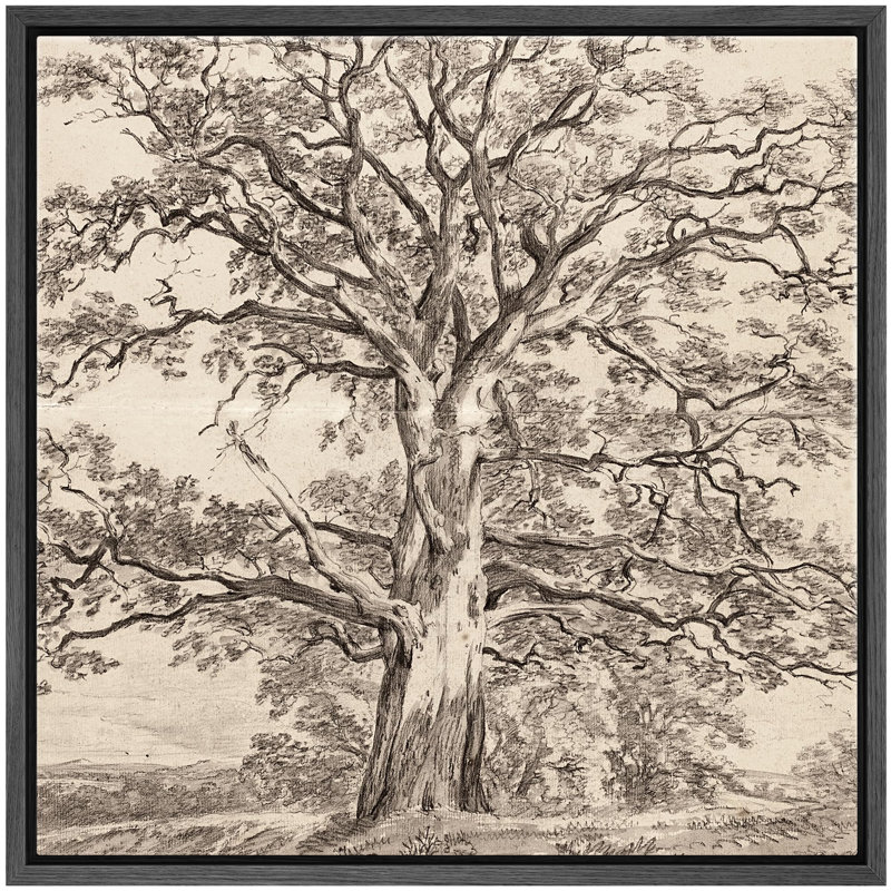Monochrome Tree - Floater Frame Print on Canvas, 24" H x 24" W, Black Canvas