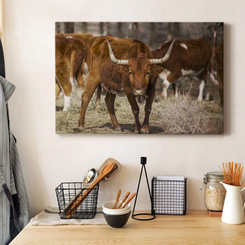 Toile tendue avec châssis de qualité supérieure Longhorns - prête à être accrochée, H 40 po x l 60 po
