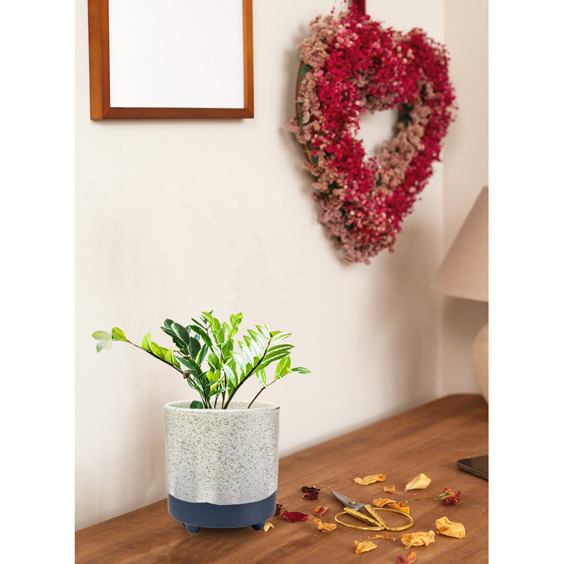 Carabeo Ceramic Table Vase