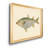 " Donovan Antique Fish IV "-1371544613-1371544612