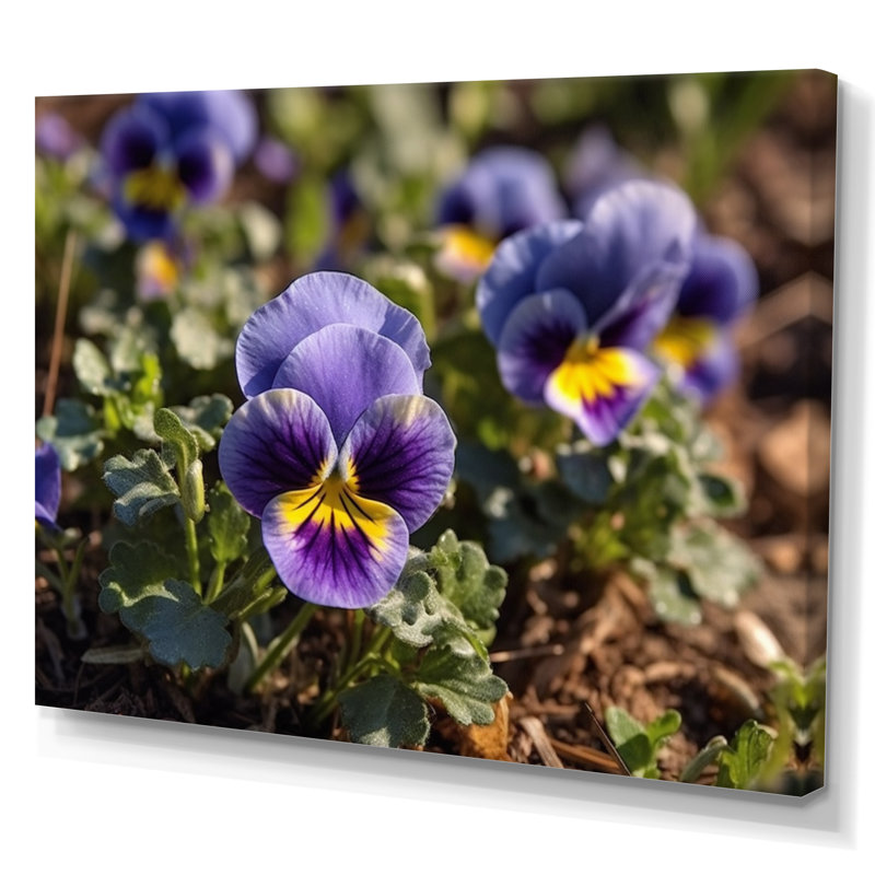 «Purple Yellow Pansies Harmony I» sur toile, 30" H x 40" W, Toile tendue
