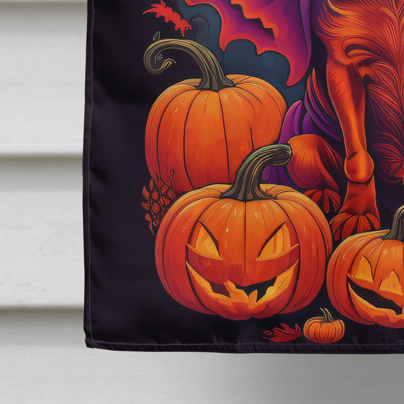 Drapeau de jardin d'Halloween en polyester Jaleaha, 40 po x 28 po