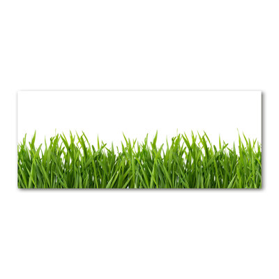 Grass - Wrapped Canvas Print
