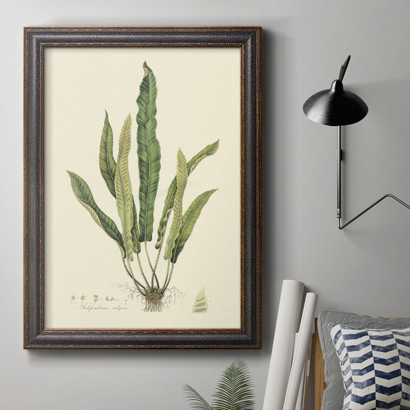 «Curtis Ferns IV», reproduction sur toile encadrée, H 36 po x l 24 po x P 2,5 po