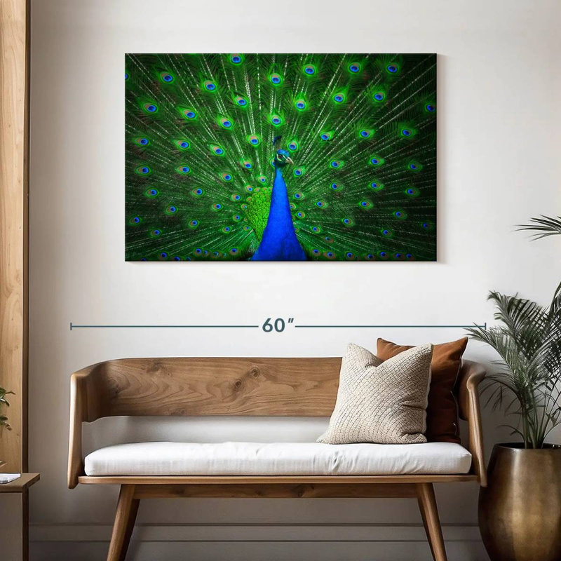 Plume de paon vert vif Crowle, H 30 po x l 45 po