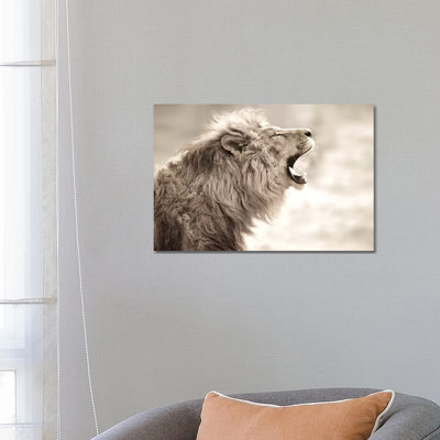 Lion Smoke 1 Piece Wrapped Canvas Wall Art