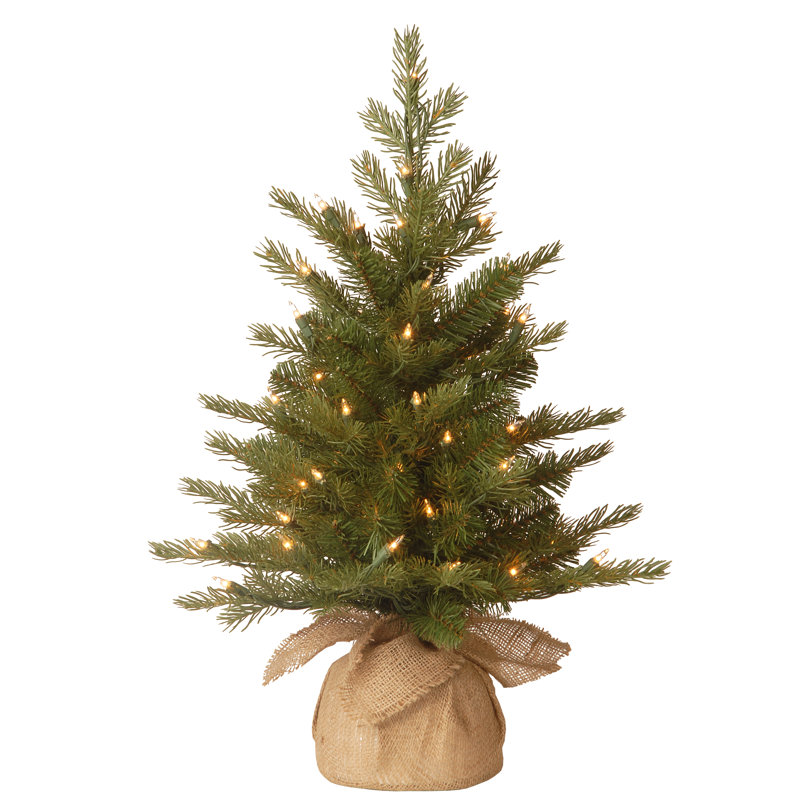 The Holiday Aisle® Nordic Spruce Tree with Clear Lights, 2'