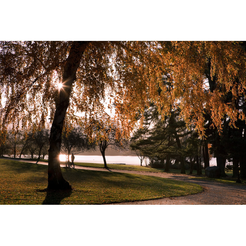 «Green Lake in The Autumn Morning» par Rhyman007, H 20 po x l 30 po