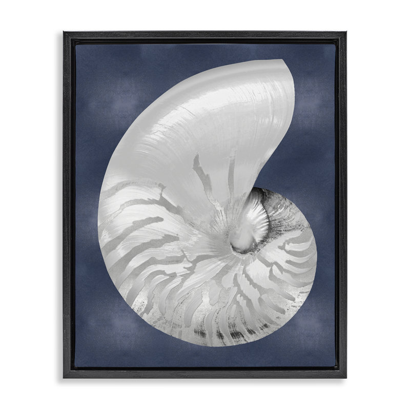 «Nautilus rayé sur toile flottante» par Caroline Kelly, Cadre flottant noir de jais, H 21 po x l 17 po