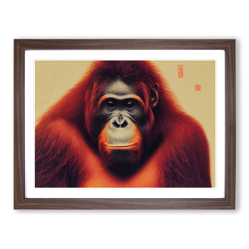 Japanese Orangutan - Single Picture Frame Print, 25cm H x 34cm W x 2cm D, Walnut Framed