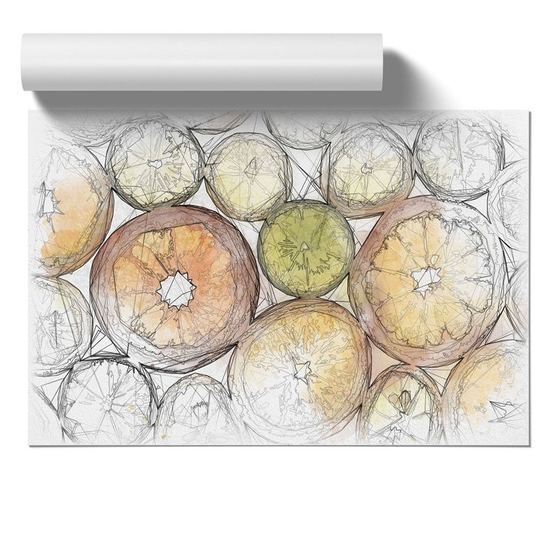 Sliced Citrus Fruit Sketch - Frameless Print, 21cm H x 30cm W x 0.1cm D