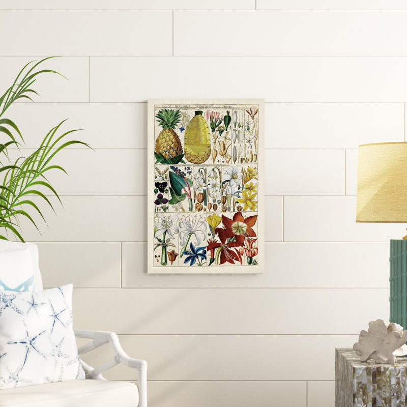 " Pineapple Chart " Painting Print, 30" H x 20" W