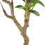 Faux Fiddle Leaf Fig Tree in Cement Pot-93069224