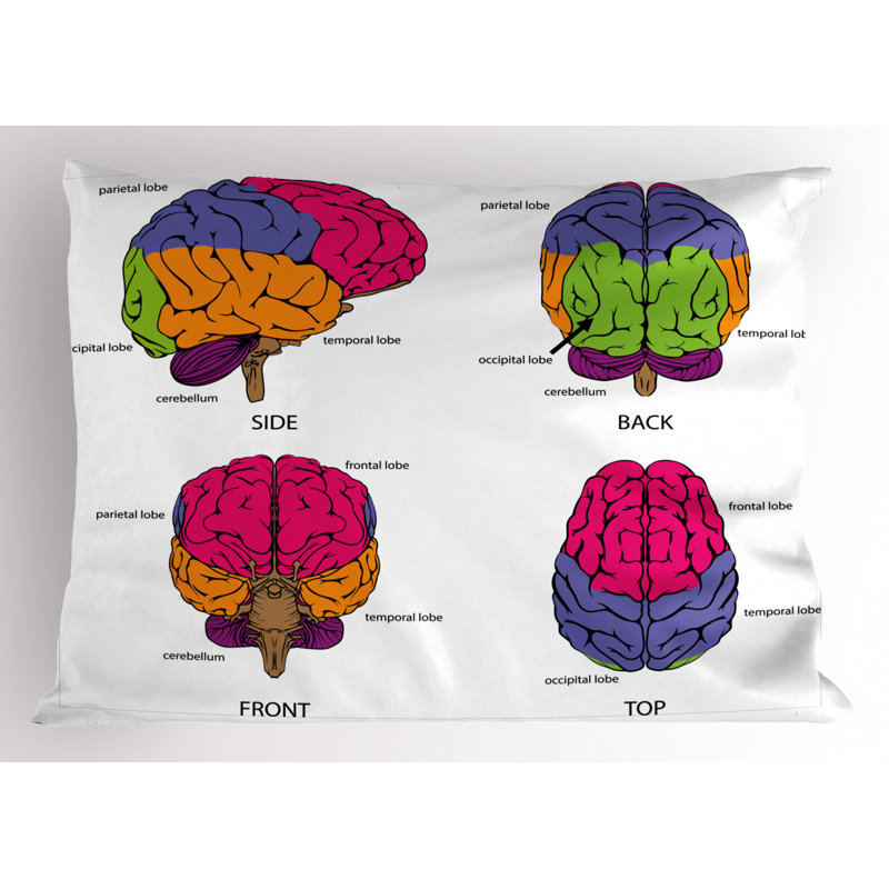 Educational Polyester Sham Set, King