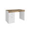 Hodgeman Computer Desk-2103840765