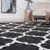Jasmyn Indoor Rug