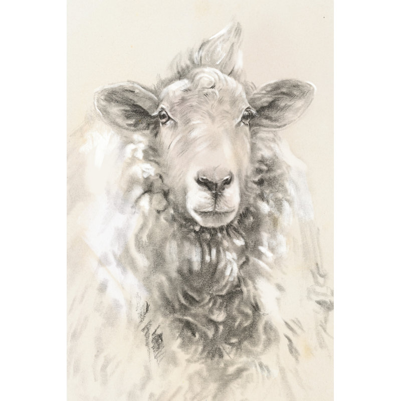 Sketched Farm Portraits I by Jennifer Paxton Parker - Wrapped Canvas Drawing, Black Floater Framed, 46cm H x 30cm W