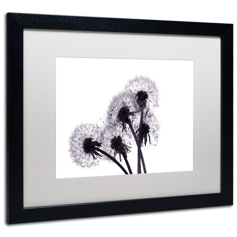 «Bunch of Wishes» par Beata Czyzowska Young - reproduction d'art sur toile, H 16 po x l 20 po x P 0,5 po