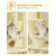 Arbre à chat Crawfordsville 71 po multi-usages, arbre à chat multi-niveaux avec condo, hamac, griffoir pour chat-809488513
