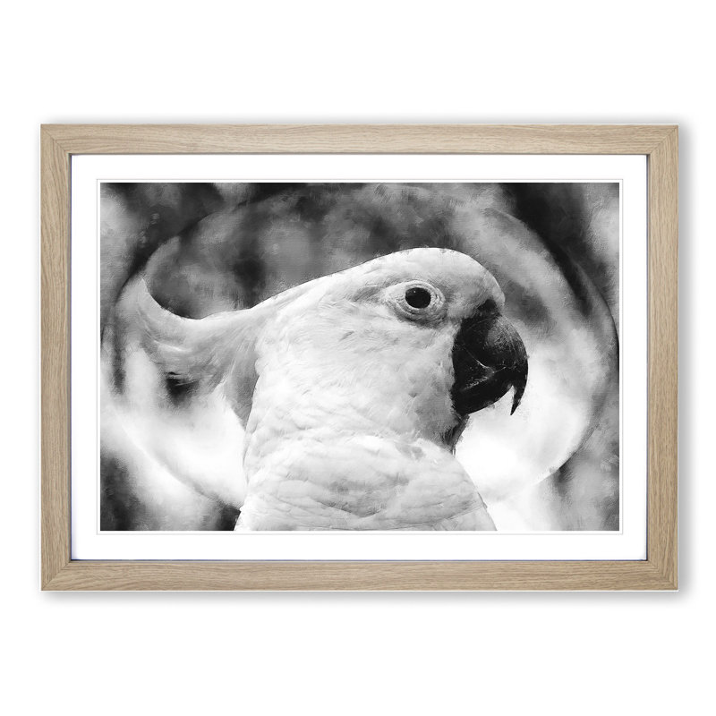 Cockatoo Bird Vol.2 - Picture Frame Graphic Art, 36cm H x 48cm W x 2cm D, Oak Framed