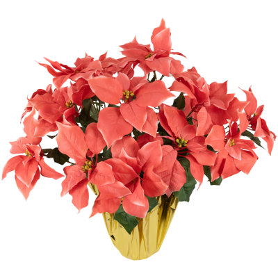 Arrangement de poinsettias