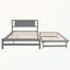 Lit Nimer-277847198