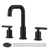 Oil Rubbed Bronze