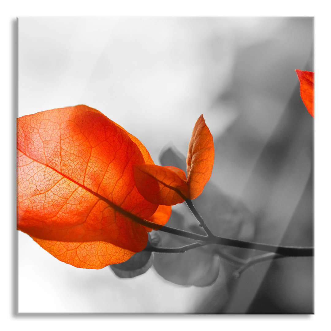 Glasbild Beautiful Red Autumn Leaves