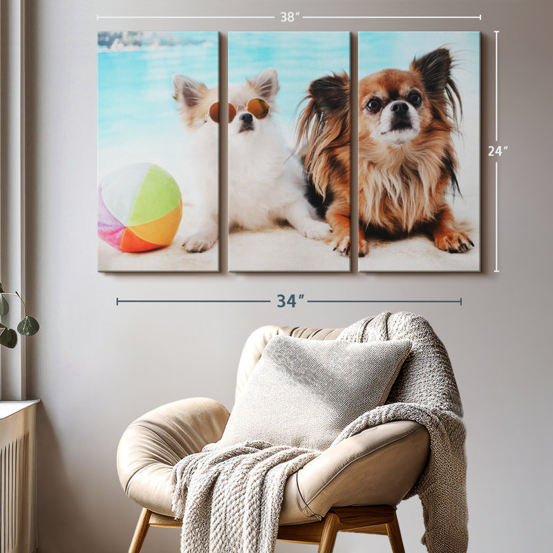 Impression sur toile Chihuahua, H 24 po x l 38 po x P 1,25 po