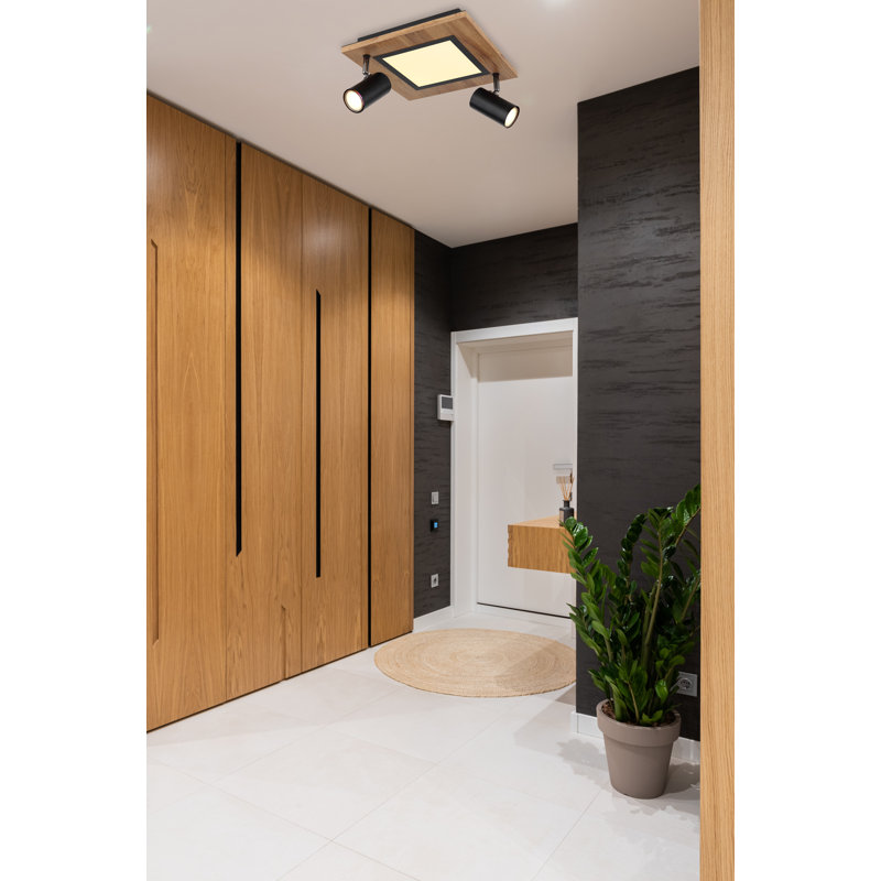 Ayela LED Spotlight