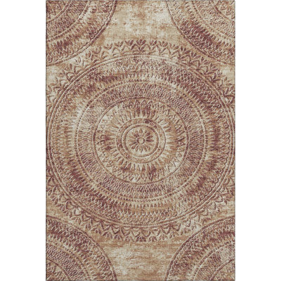 Premium Machine Washable Paullette AMF113 Rug
