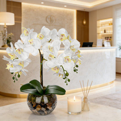 Artificial Orchid Plant In Glass Vase With Faux Water - Realistic Silk White Phalaenopsis Orchid Arrangement With Stones For Home And Office Decor