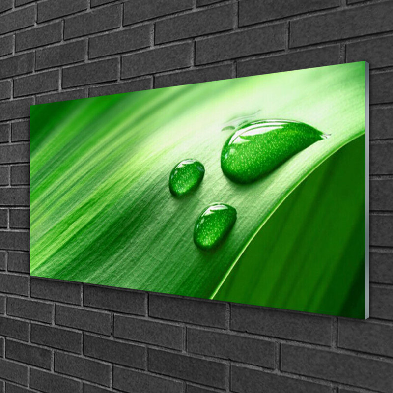 Glass Print Wall Art 100X50cm Image Printed On Glass Decorative Wall Picture Behind Toughened / Tempered Safety Real Glass For Kitchen & Living Room Theme: Leaf Water Droplets Floral