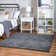 Indoor Rug