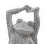 Ensemble de figurine de yoga grenouille