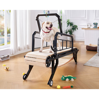 Dog Treadmill with Hand Brake, Up to 300lbs