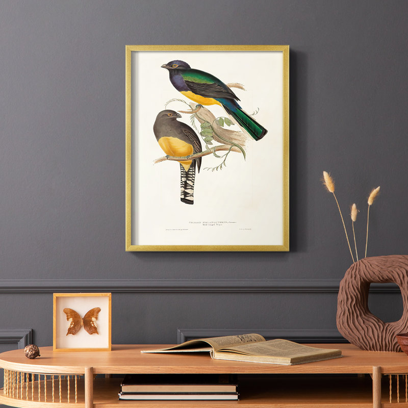 Impression encadrée Elegant Trogons III - bois massif, H 28 po x l 22 po