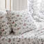 Ensemble de draps en coton Martha Stewart-115629659-116669295