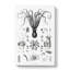 Octopus Illustrations by E.F. Jomard - Wrapped Canvas-55309127