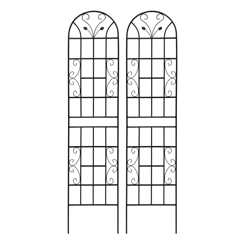 Ensemble de 2 treillis de jardin en métal