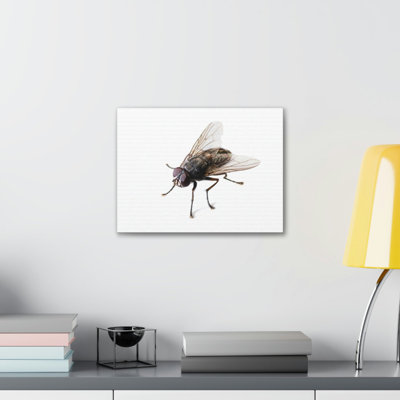 No Frame Print on Canvas